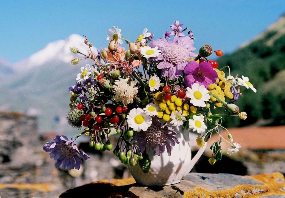 Sno House Kazbegi Hotel Bagian luar foto